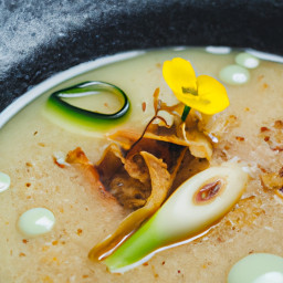 Soup: United States – Charred Leek and Porcini Sherry Broth Soup recipe